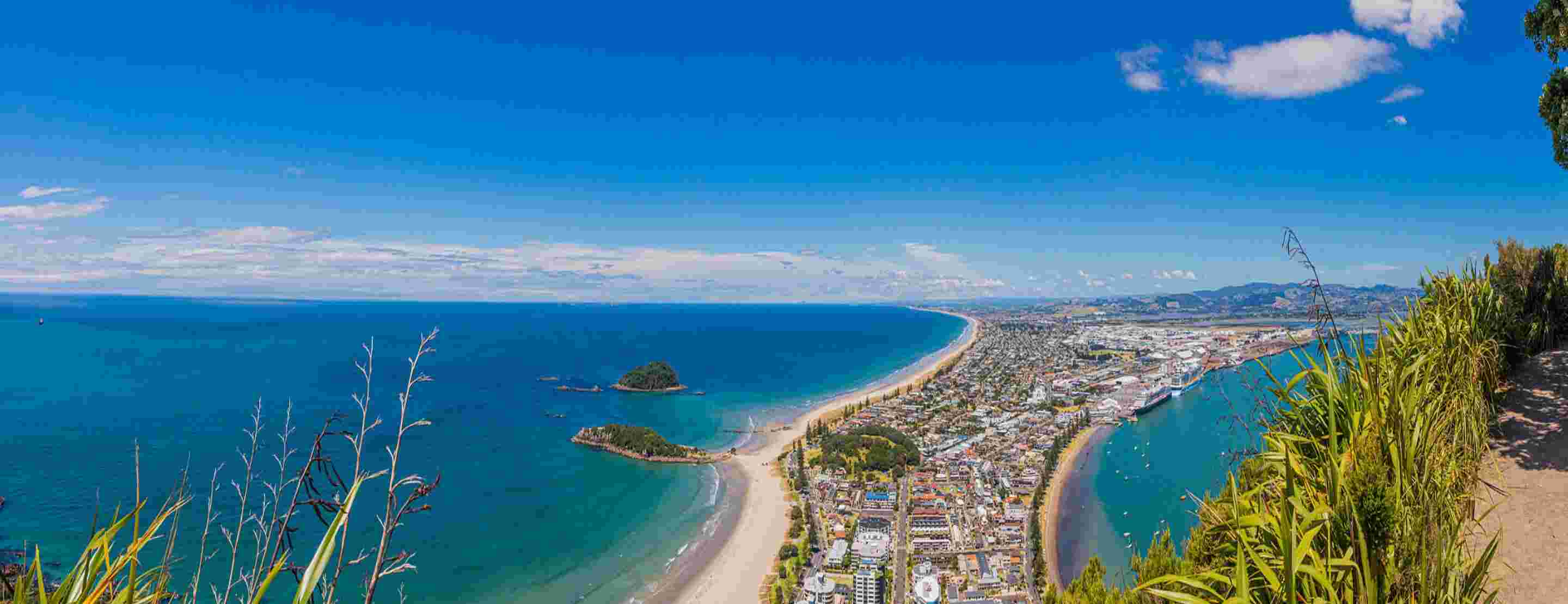 Tauranga