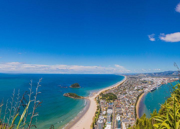 Tauranga